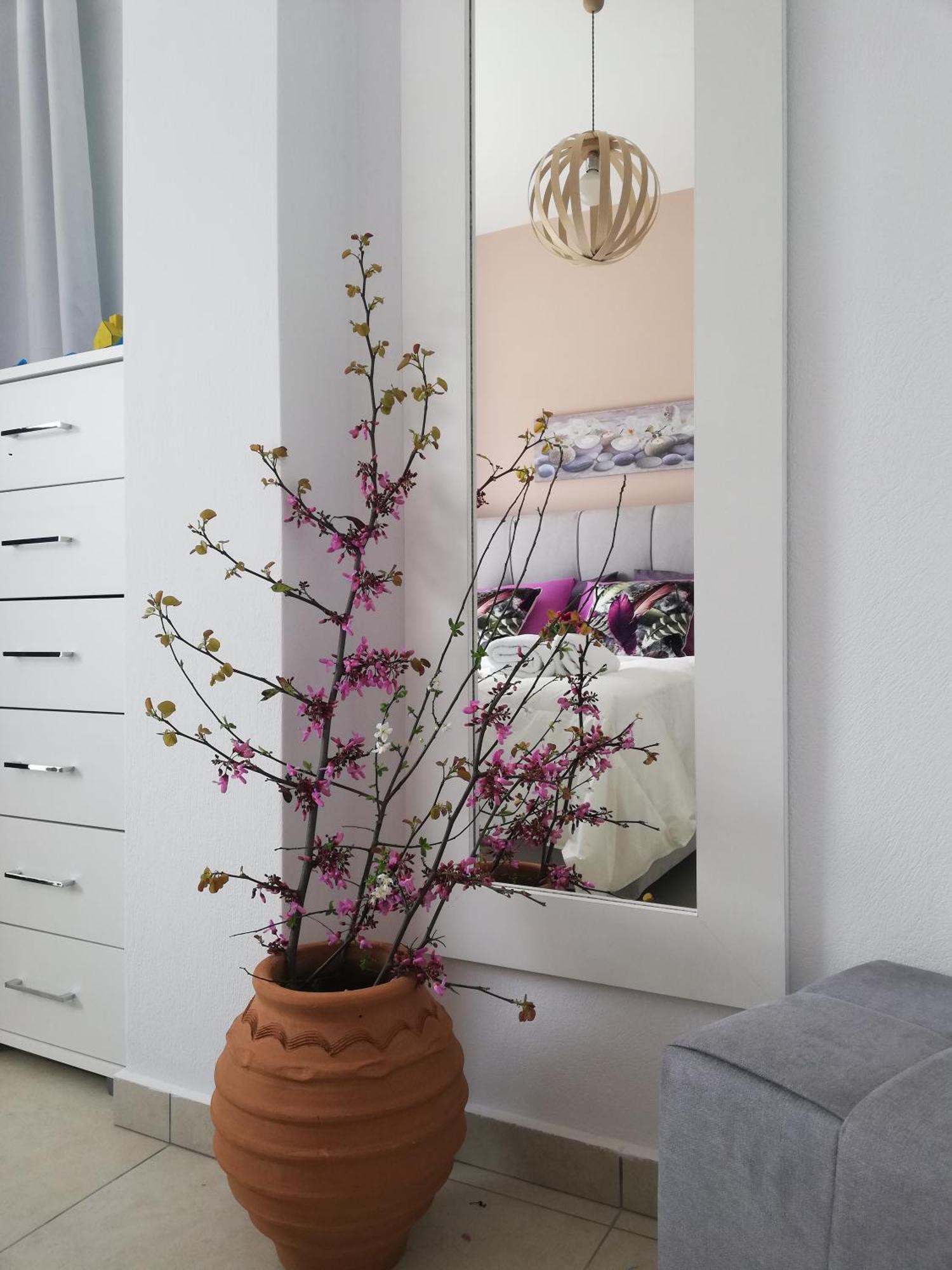 Meltemi Beach Apartments มิลาโตส ภายนอก รูปภาพ